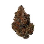 HollyWeed EXPRESS On Nut Cannabis - Weed Dispensary