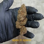 Apex in space 