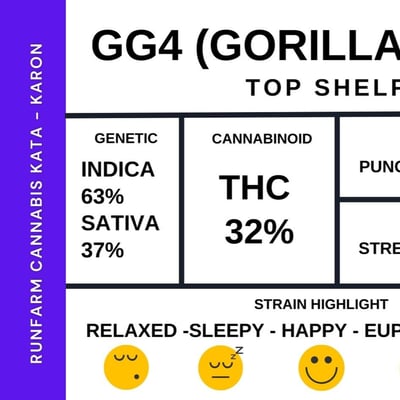 GG4 (Gorilla Glue)