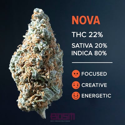 Nova (B-tier)