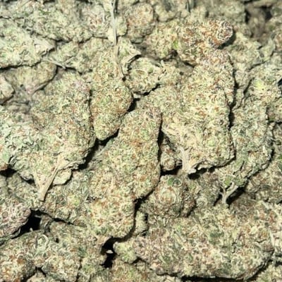 Maximum Cannabis Weed in Suratthani