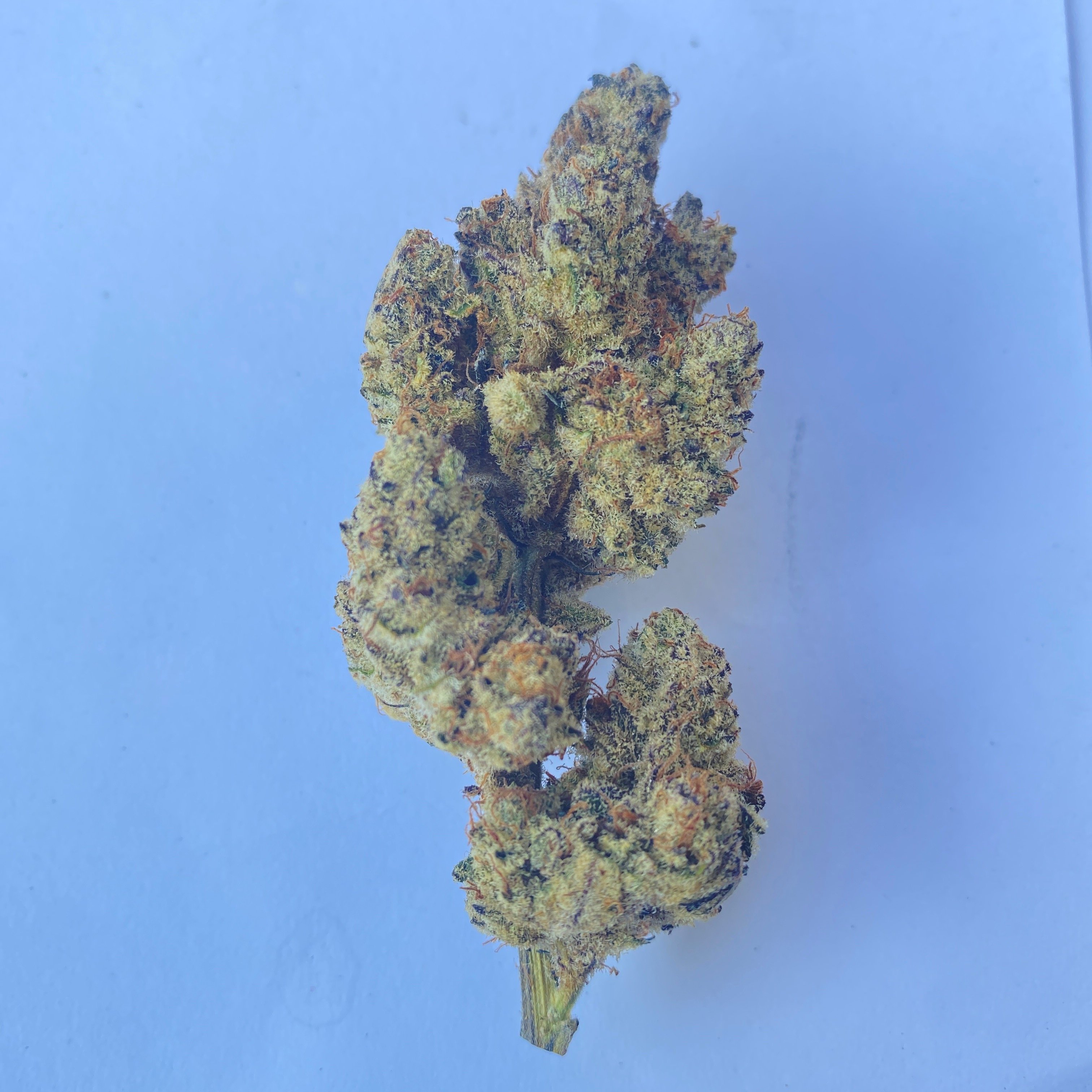 Joey's in Koh Samui / Surat Thani, Thailand - Cannabis in