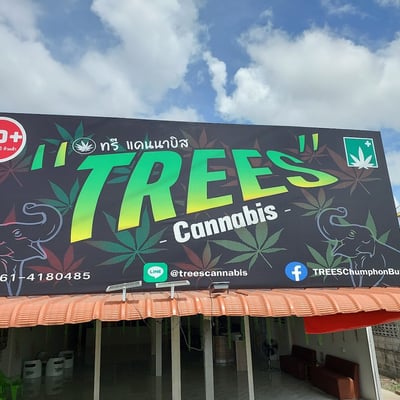 TREES Cannabis ทรีแคนนาบิส(1stWEED shop@ChumphonBuri)ร้านแรกในชุมพลบุรี