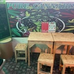 Pure Cannabis