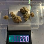 กัญชา yellowstonder cannabis dispensary