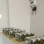 ร้านกัญชาวีดคิงดอม สระแก้ว | Weed Kingdom Cannabis Store