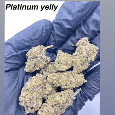 Platinum yelly