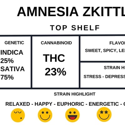 Amnesia zkittle