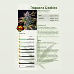 Tropicana Cookies 