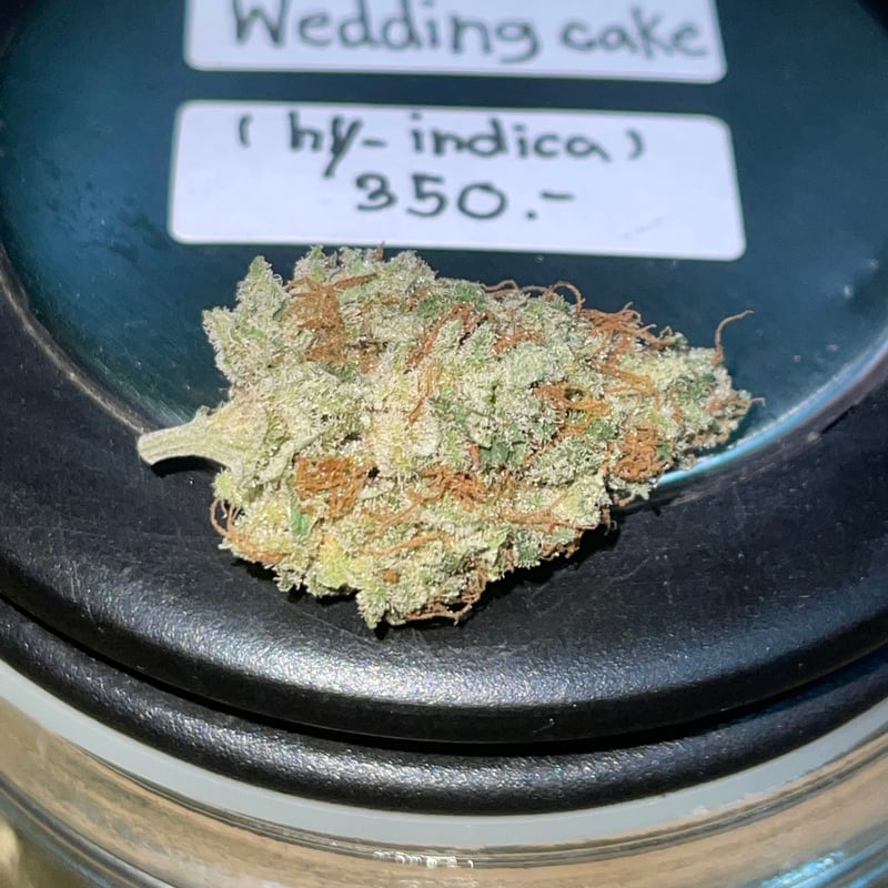Wedding cake Cannabis Flower at Hi Buds in Bangkok - Weed in Thailand