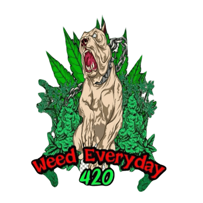 ร้าน Weed EveryDay 420