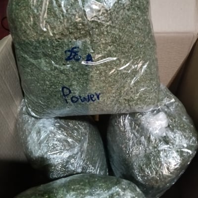 บ้องเขียวคาเฟ่ซื้อขายกัญชาถูกกฎหมาย product image