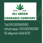 All Green Cannabis Weed shop and Delivery Bangkok 大麻公司, マリファナ, 대마초
