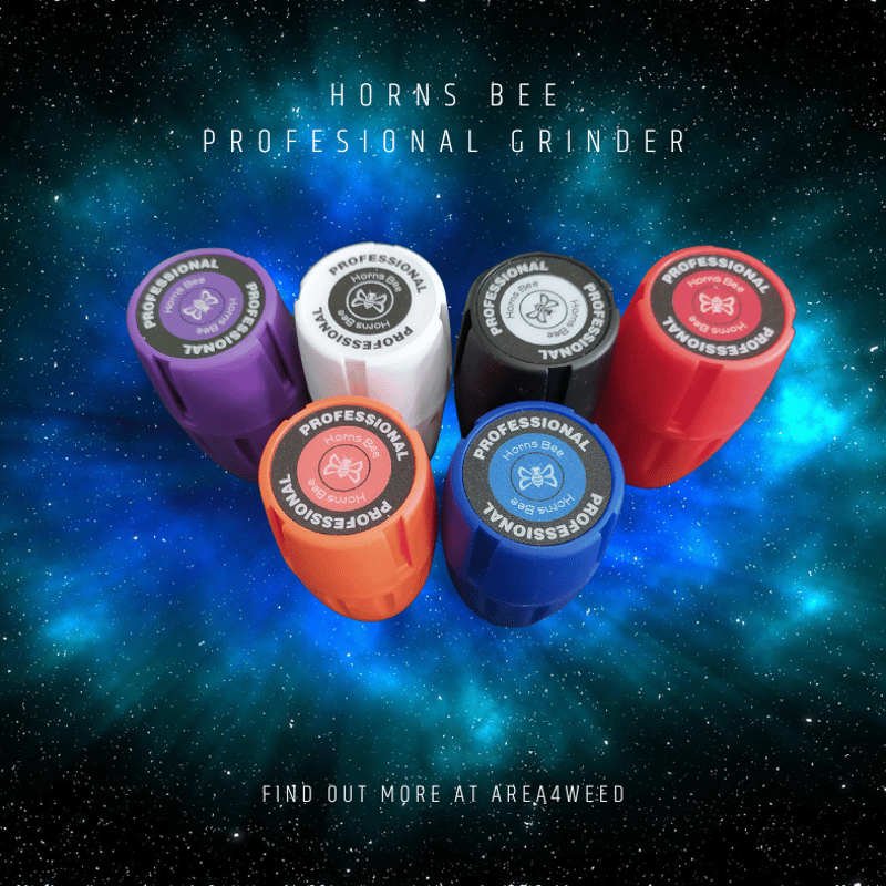 Horns Bee 2in1 grinder at Area 4 weed แอเรียโฟร์วีด in Prachuap Khiri Khan Weed in Thailand