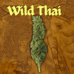 Thai 