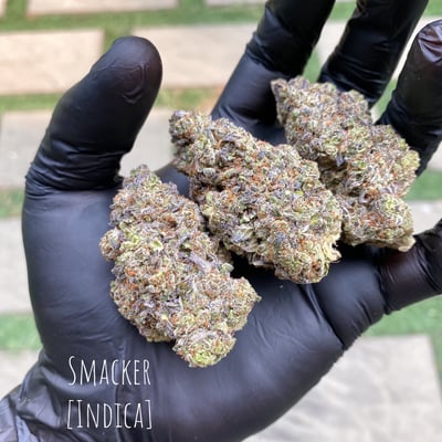 SMACKER [INDICA]