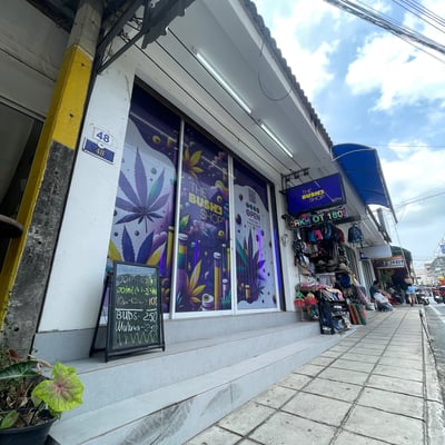 Cannabis shop | lounge | The Bush shop - Магазин марихуаны, лаундж product image