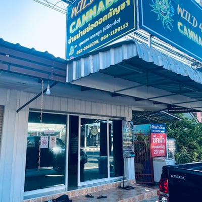 ร้านกัญชา Wild 420 Cannabis store product image