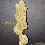 Scooby Snax 