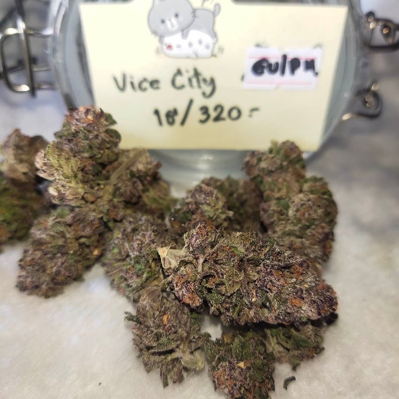 Vice City Cannabis Flower at O.p Cannabis in Chiang Rai Weed in Thailand