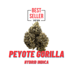 Peyote Gorilla
