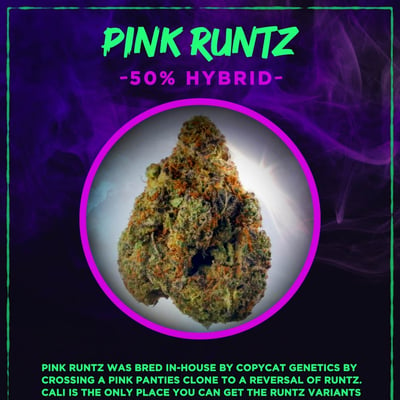 Pink Runtz Cannabis