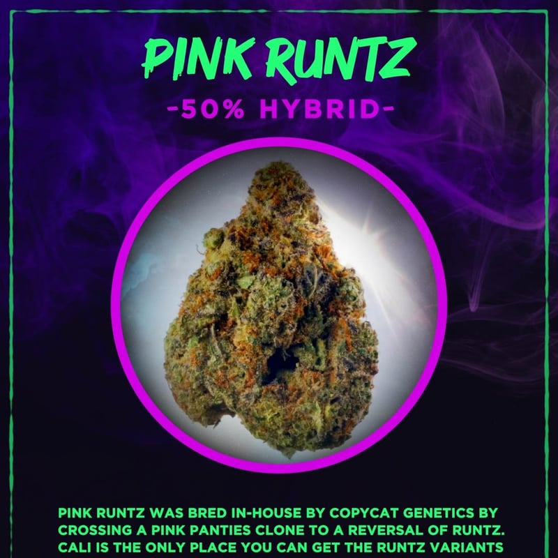 Pink Runtz Cannabis Flower at HIGHLAND PATONG CANNABIS LOUNGE in Phuket