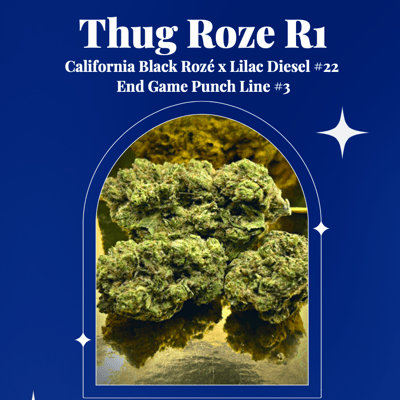 Thug roze R1