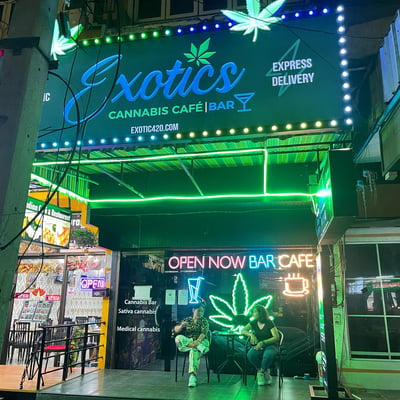 Exotics Pattaya - Cannabis Café & Social Club product image