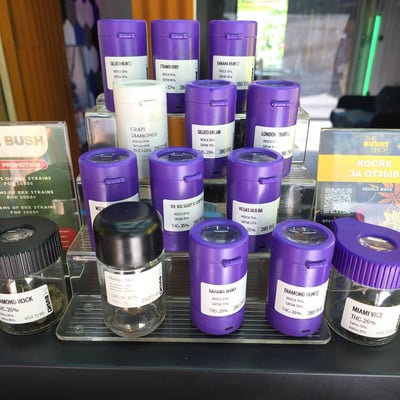 Cannabis shop | lounge | The Bush shop - Магазин марихуаны, лаундж product image