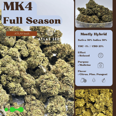 MK4 Full Season