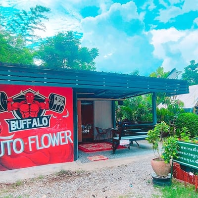 Buffalo auto Flower.