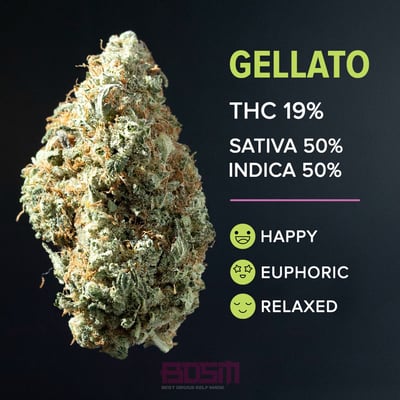 Gellato (B-tier)