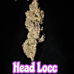 Head Locc