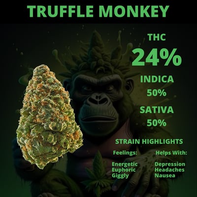 Truffle Monkey