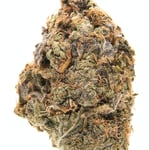 Sour Mango