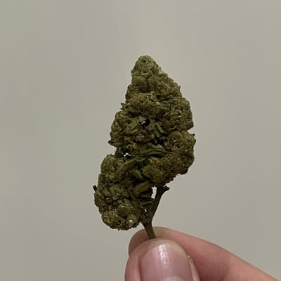black hole shop 420 product image