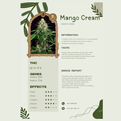 Mango Cream 