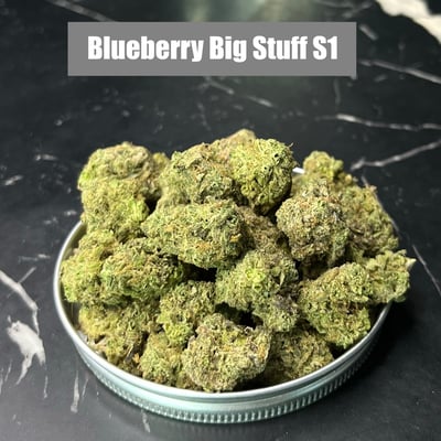 Blueberry big stuff s1