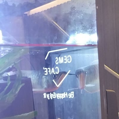 Review image