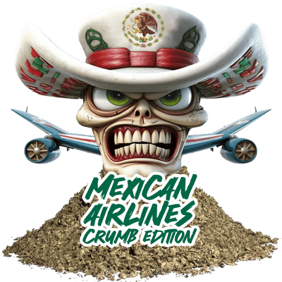 Mexican Airlines ( Crumb )