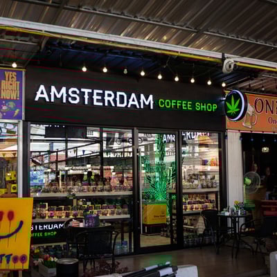 Amsterdam Coffee Shop | Weed Store | Cannabis Dispensary product image