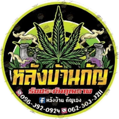 หลังบ้านกัญ product image