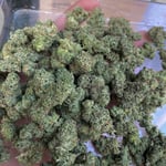 Growpro cannabis shop & dispensary
