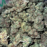WEED MONSTER