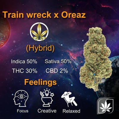 Train wreck x Oreoz