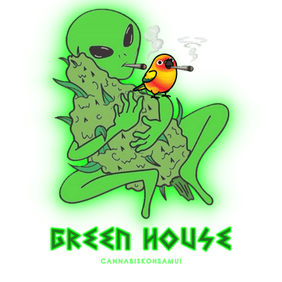 Green House Cannabis Koh Samui