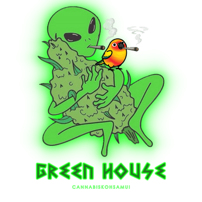 Green House Cannabis Koh Samui ร้านกัญชาใกล้ฉัน