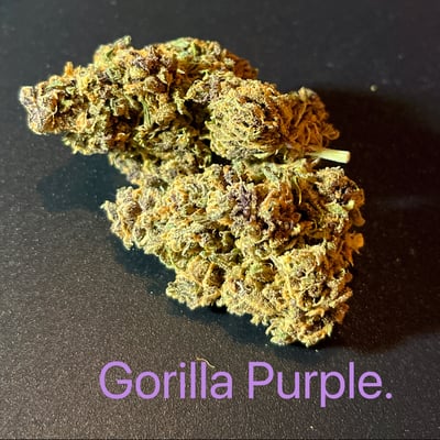 Gorilla Purple