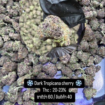 Area21 cannabis satun product image